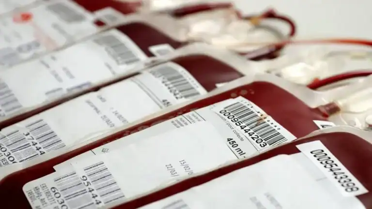 Federação de dadores de sangue quer mais profissionais de saúde dedicados às colheitas