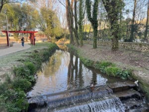 PS sugere&nbsp;novo complexo desportivo na zona norte de Braga