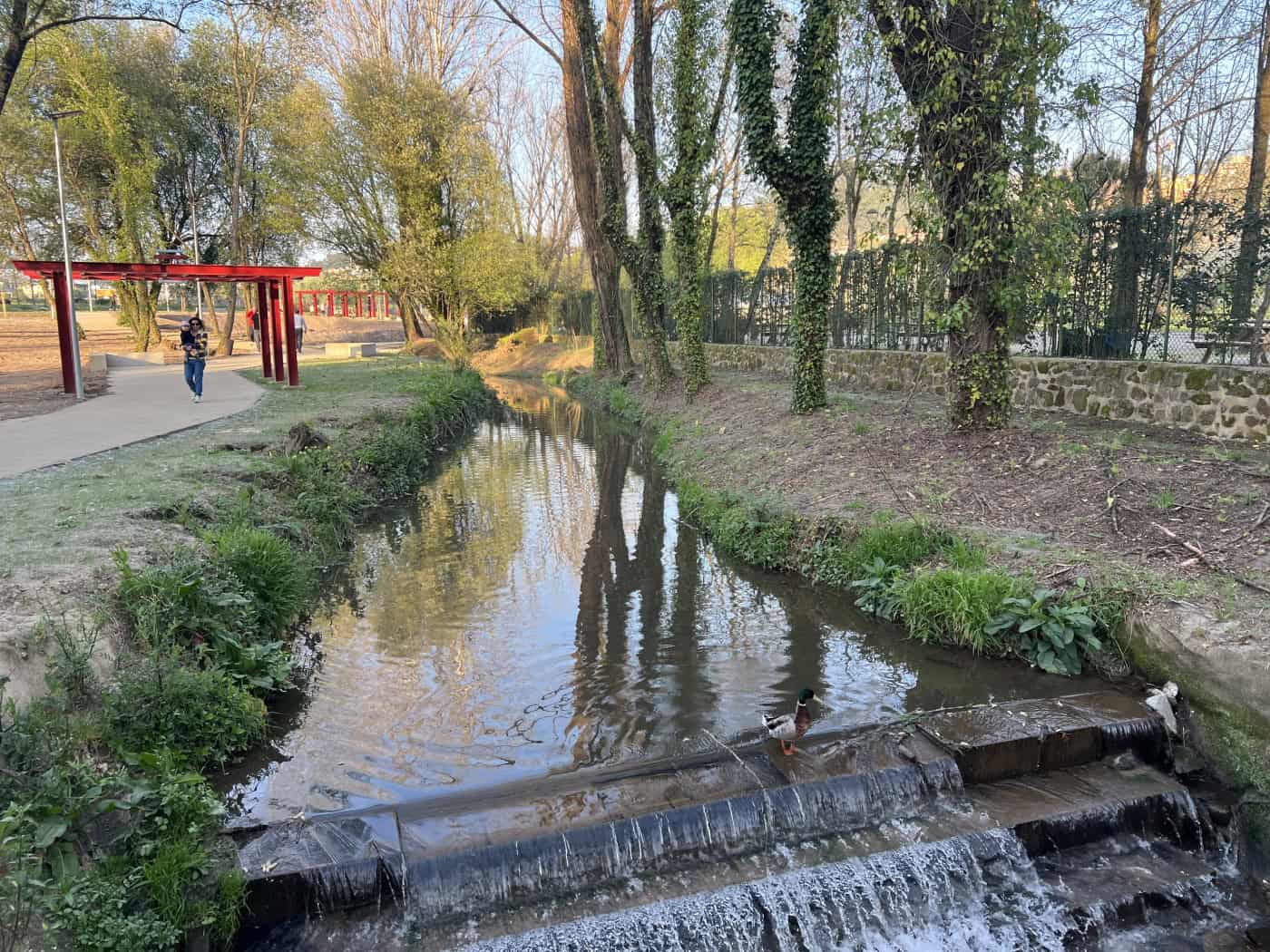 PS sugere novo complexo desportivo na zona norte de Braga