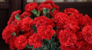 25 de Abril. Famalicão promove Assembleia Municipal no Salão Nobre