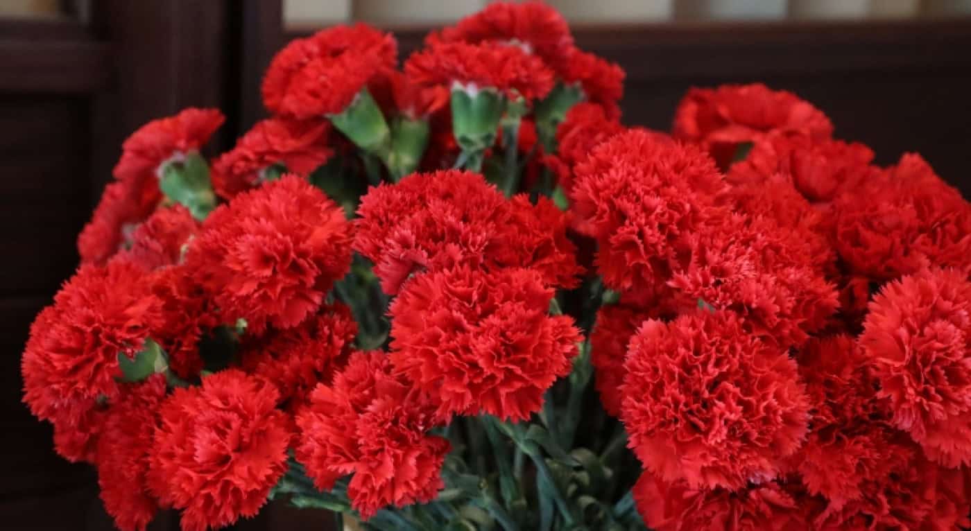 25 de Abril. Famalicão promove Assembleia Municipal no Salão Nobre