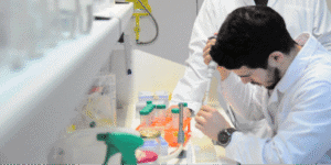 Governo diz que alterações à execução financeira das Unidades de I&D garante "gestão mais eficaz dos seus recursos"