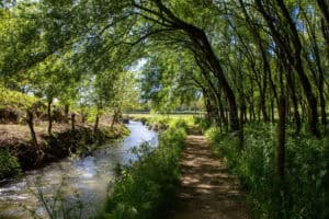 Guimarães aprova plano operacional municipal para gestão de fogos rurais