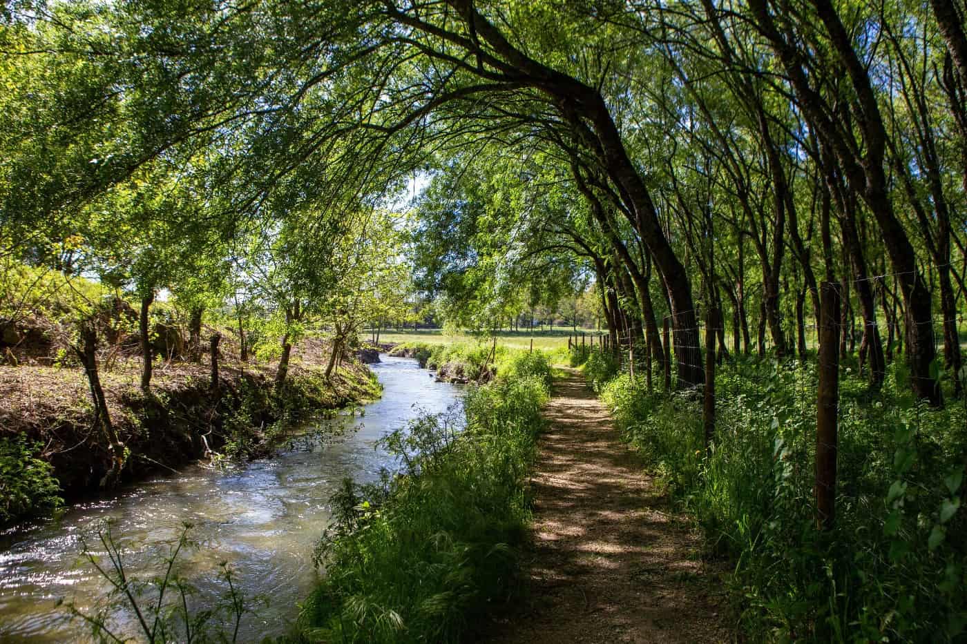 Guimarães aprova plano operacional municipal para gestão de fogos rurais