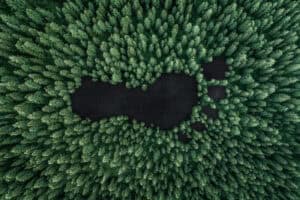 Humanidade esgota a 24 de julho recursos do planeta disponíveis para este ano