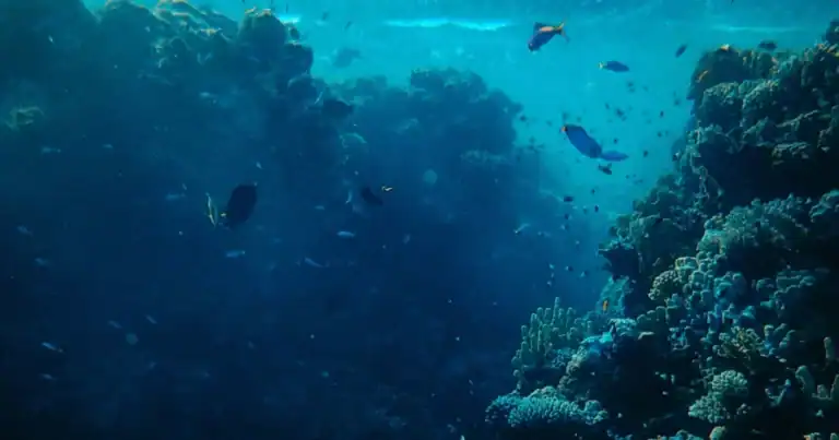 UMinho acolhe 1º Encontro ARNET sobre ciência aquática e políticas públicas