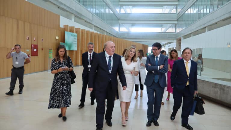 Ministra da Saúde diz que sai quando o primeiro-ministro entender&nbsp;