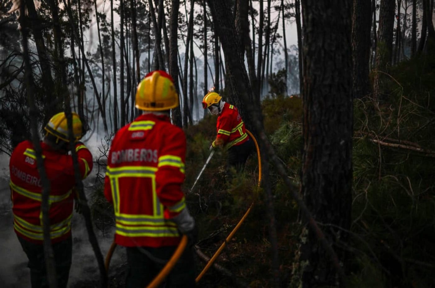 Incêndios: Fogo em Ponte da Barca mantém-se ativo mas sem habitações em risco