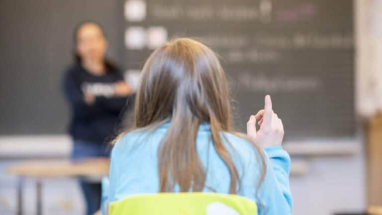 Ordem dos Psicólogos recomenda ao Governo a inclusão explícita da educação sexual nas escolas