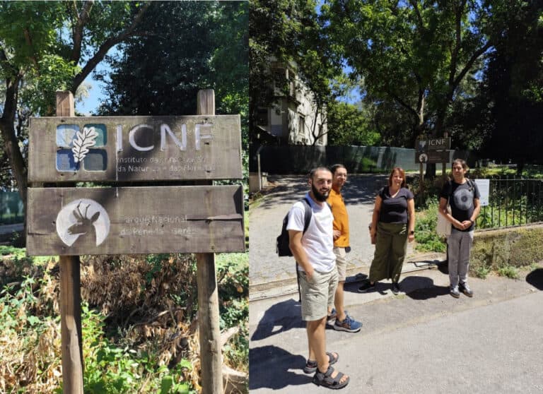 Lobo Ibérico e conservação da natureza são temas da reunião d'Os Verdes com Direção Regional do ICNF