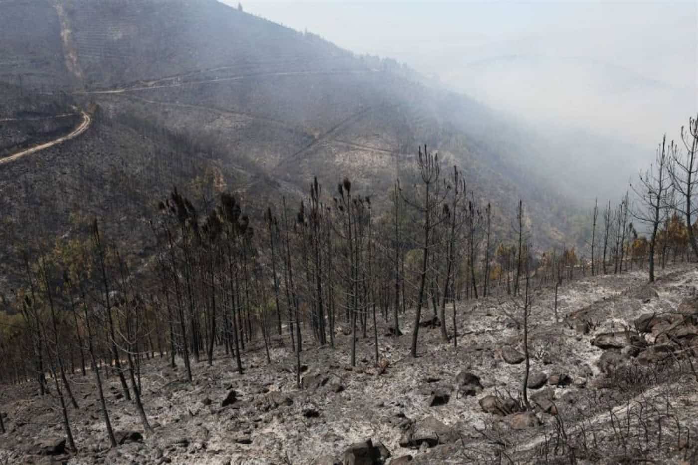 Área ardida antes dos incêndios da última semana era já três vezes superior a 2024