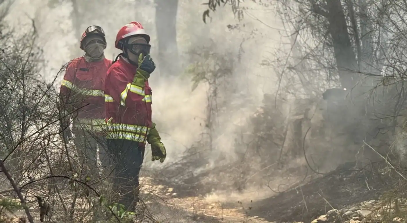 Área ardida triplicou nos últimos 15 dias&nbsp;