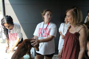 Verão Animal aproxima jovens do cuidado animal em Braga