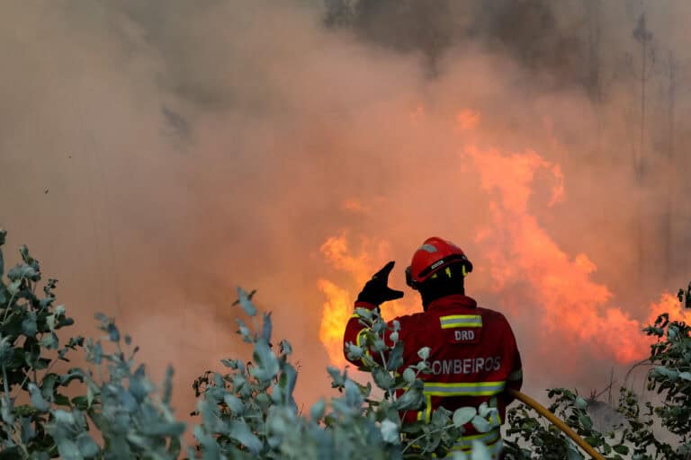 Incêndios: A7 cortada nos dois sentidos em Fafe devido a fogo&nbsp;
