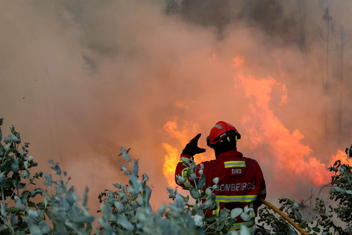 Incêndios: A7 cortada nos dois sentidos em Fafe devido a fogo&nbsp;