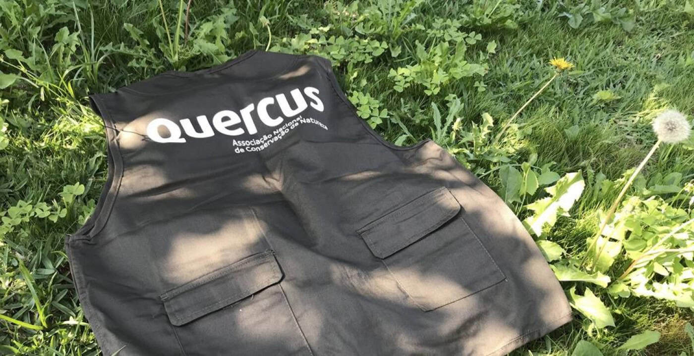 Associação Quercus diz que proposta de Educação para a Cidadania minimiza ambiente