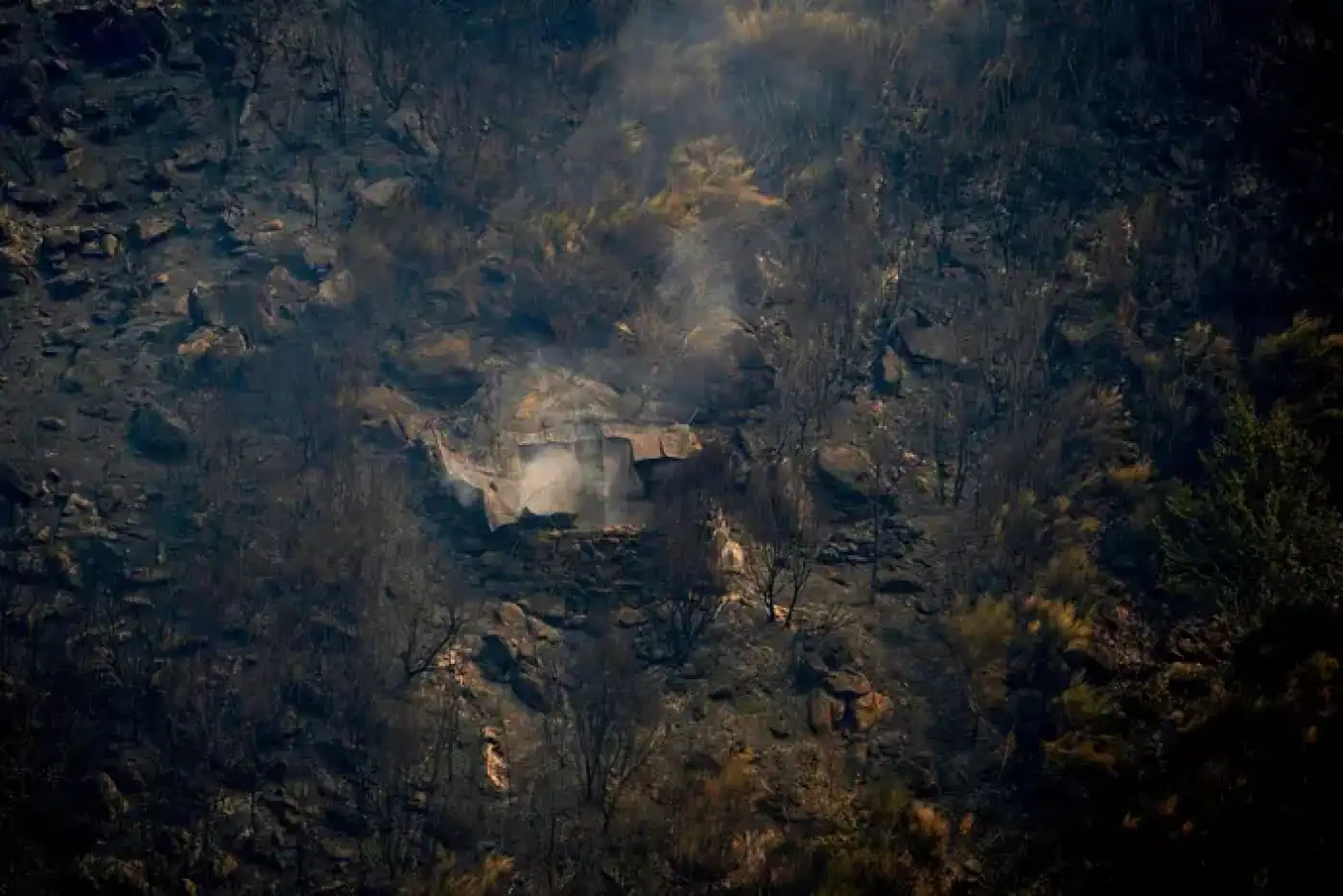 Governo prepara Plano de Intervenção na Floresta para os próximos 30 anos