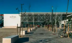 Estudante palestiniano admitido na Universidade Nova de Lisboa impedido de sair de Gaza&nbsp;