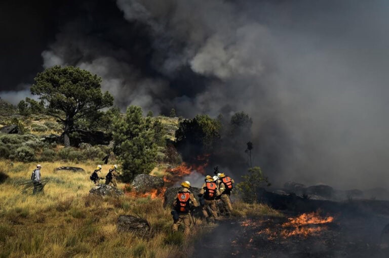 Fogos consumiram este ano cerca de 75.000 hectares