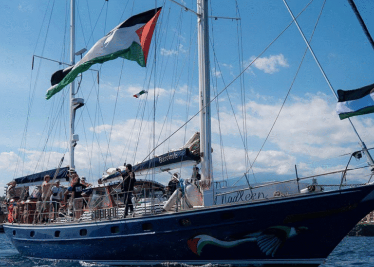 Mariana Mortágua, Miguel Duarte e Sofia Aparício integram Flotilha Humanitária a Gaza