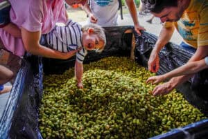 LETRA Harvest Fest promove&nbsp;produtores de cerveja artesanal até domingo em Vila Verde