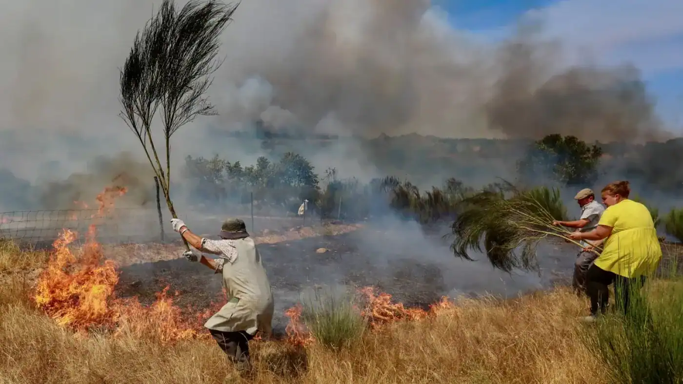 Incêndios: Governo prorroga prazos para cumprir obrigações fiscais