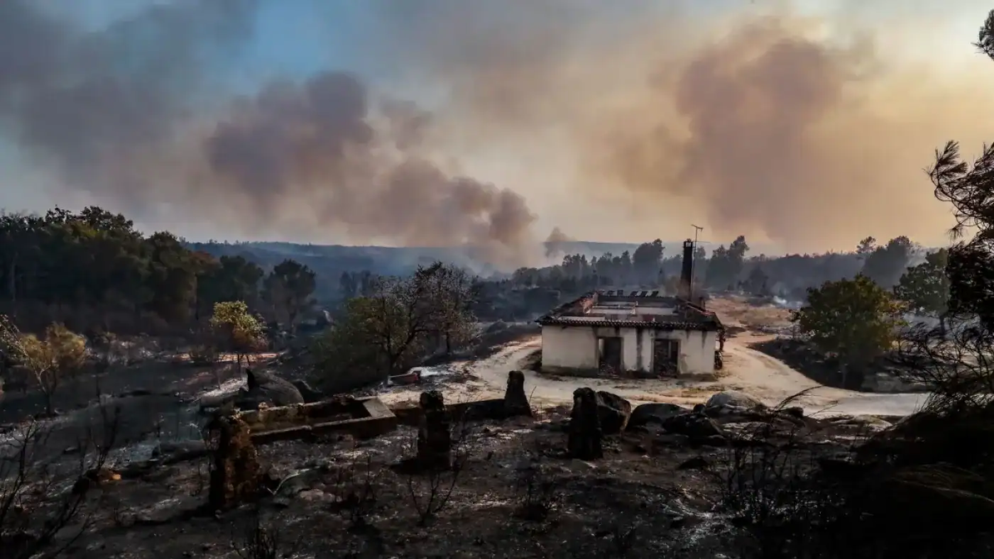 Movimento Portugal Sem Chamas incentiva ao turismo nas áreas afetadas pelos incêndios&nbsp;