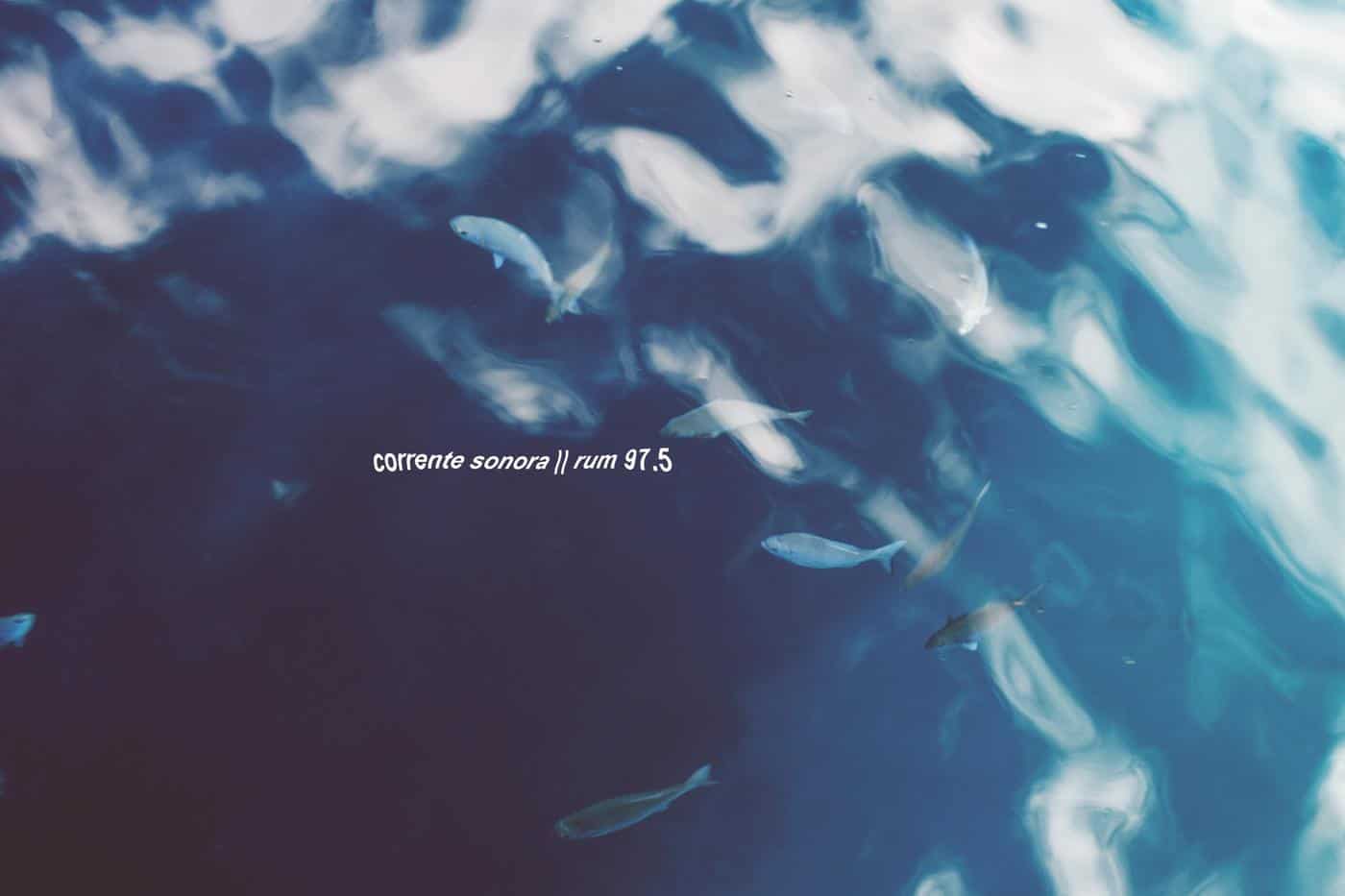 Corrente Sonora