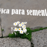 2025-12-02 – BACHATA