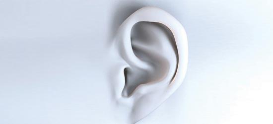 Ouvido Externo